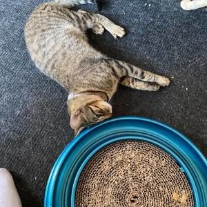 Meet your Posher, Barbara